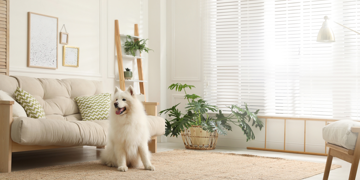 5 smart motion sensors that'll fit your home decor