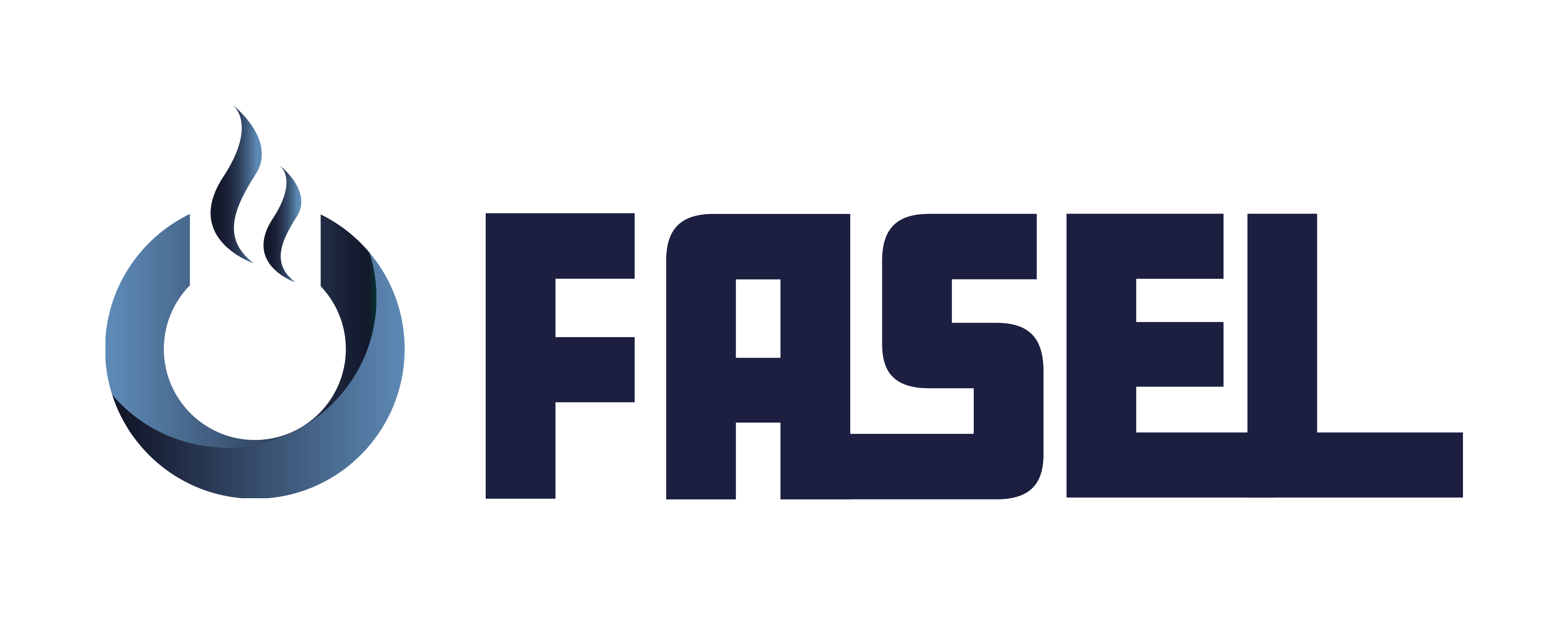 Fasel GmbH Elektronik