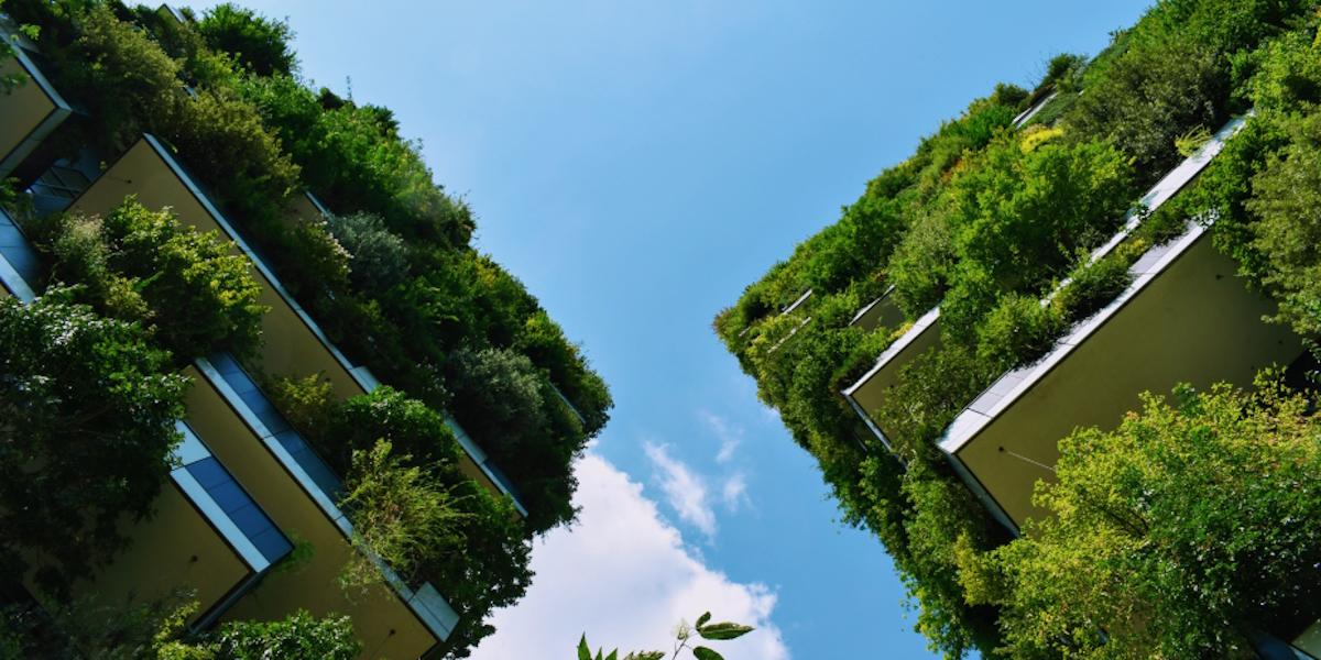 What is a ‘green building’ and what are its features?